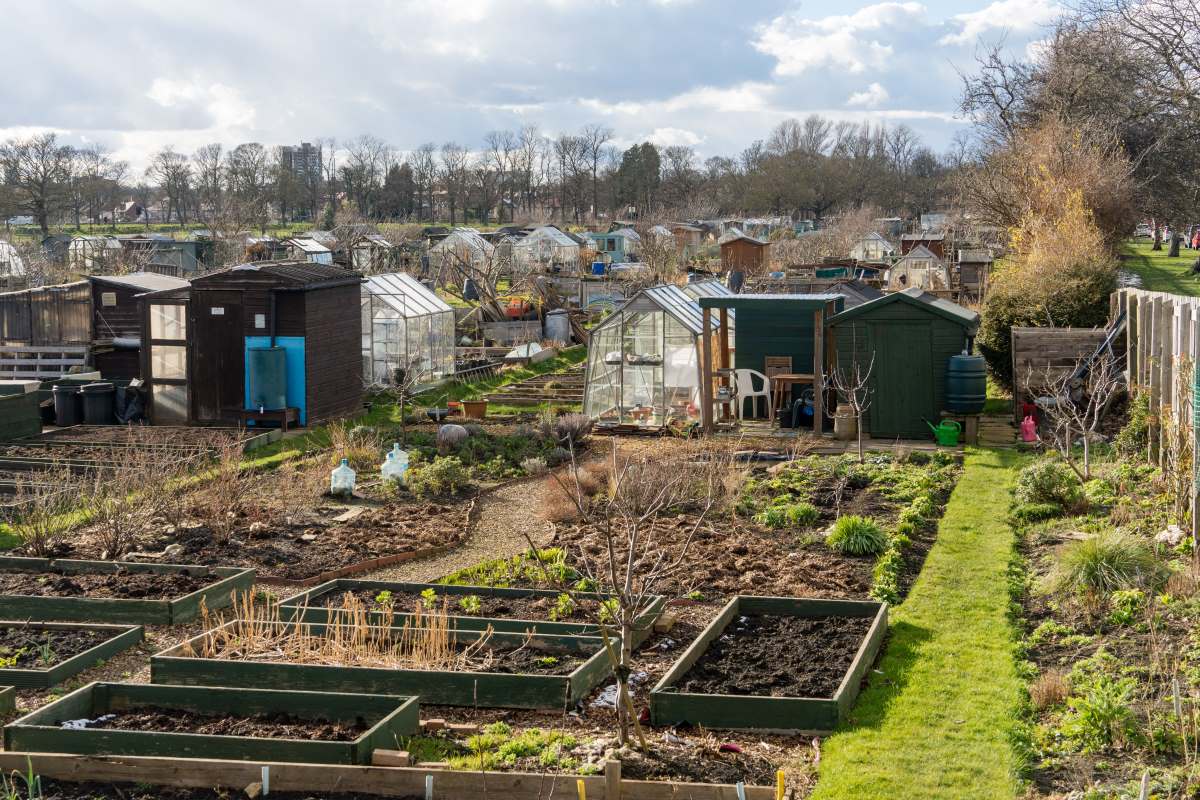 Schrebergarten in Göppingen: Pacht, Regeln und was Sie wisse